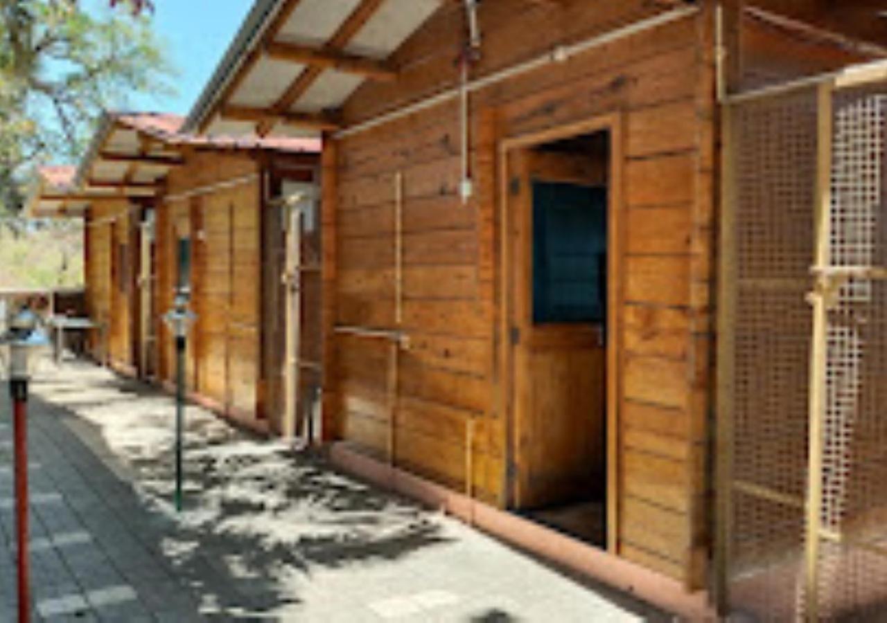 Kaas Woods Resort Yavateshwar Satara Exterior foto
